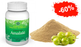Amalaki