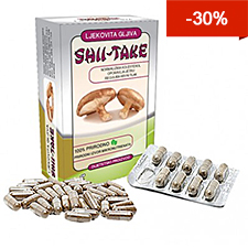 shitake