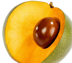 lucuma