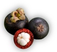 mangostin